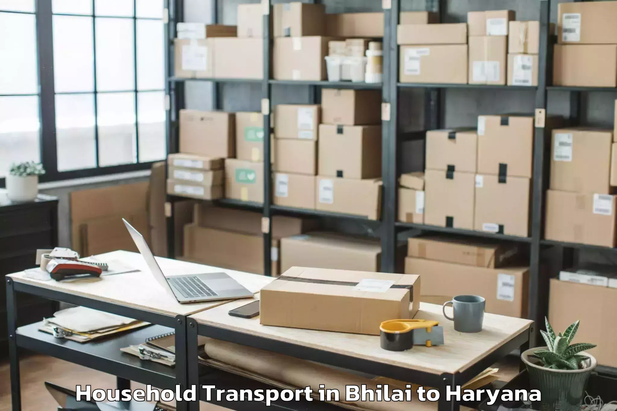 Bhilai to Ambala Household Transport Booking